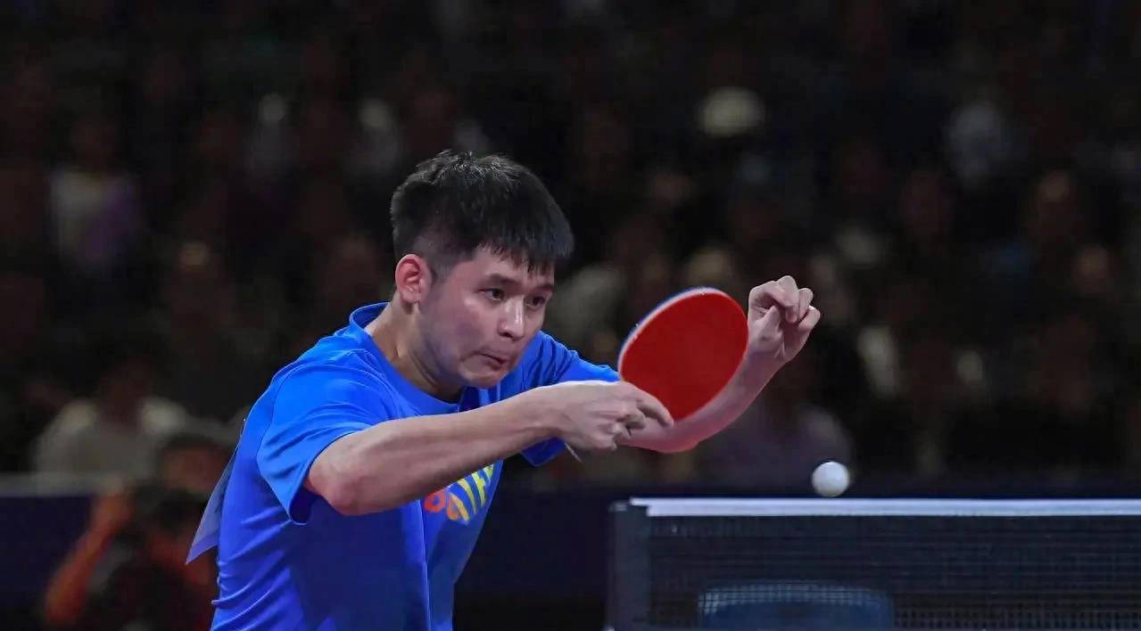 专业性和可 专业性和可